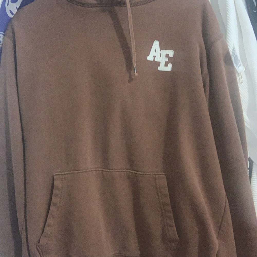American Eagle Outfitters Men's Brown Hoodie size M VGUC